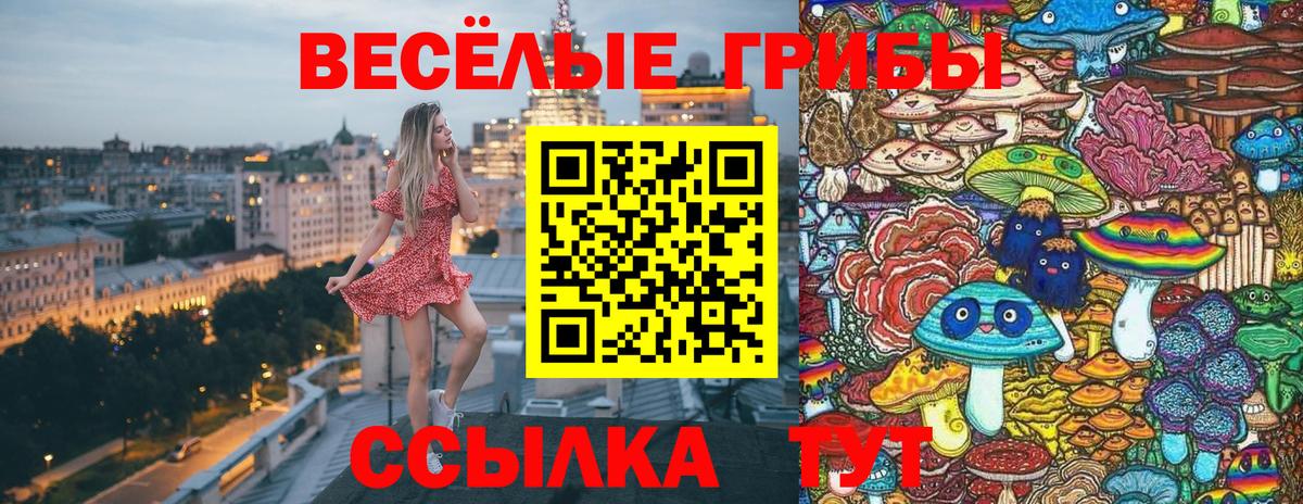 Галлюциногенные грибы мухоморы  Псилоцибиновые грибы Magic Shrooms  Вход с VPN  Коломна 